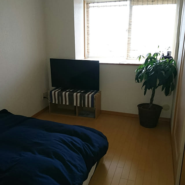 motaさんの実例写真