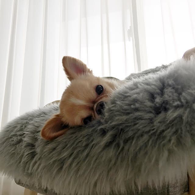 haruhinaさんの実例写真