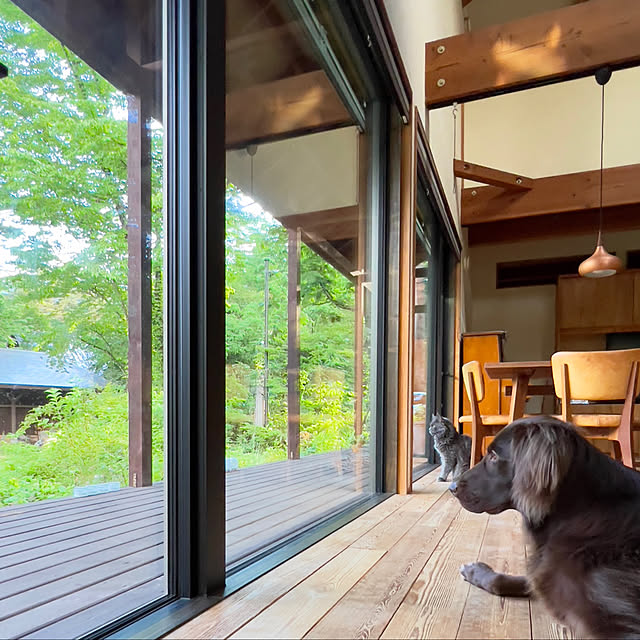 Kikko.さんの部屋