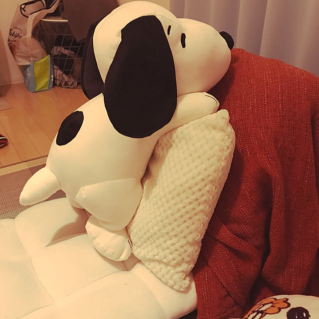 misatoさんの実例写真