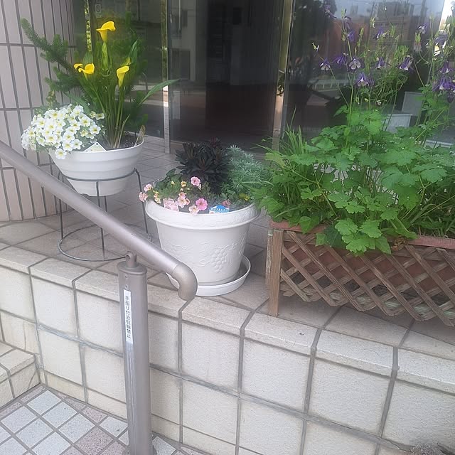 hakata-baさんの部屋