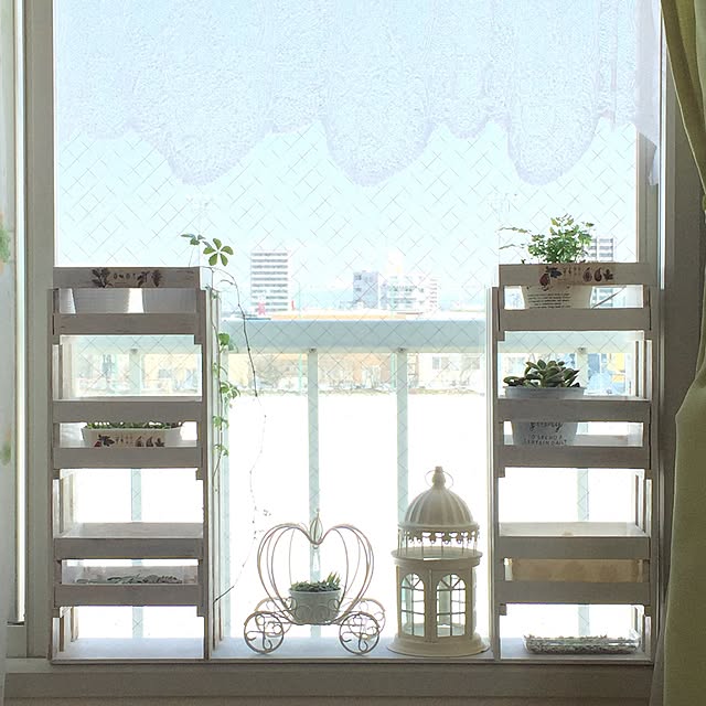 lassieさんの実例写真