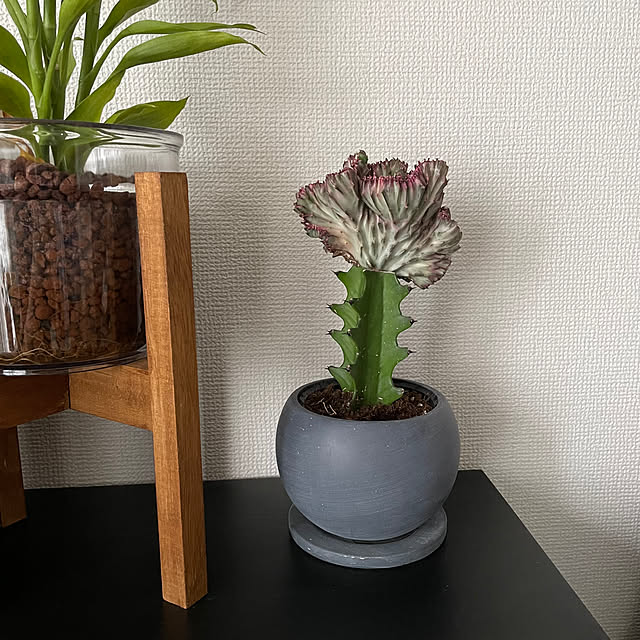 manchanさんの部屋