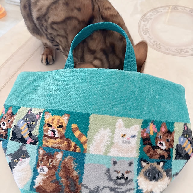 nene6さんの部屋