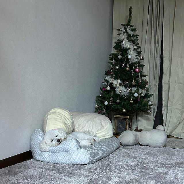 akiさんの実例写真