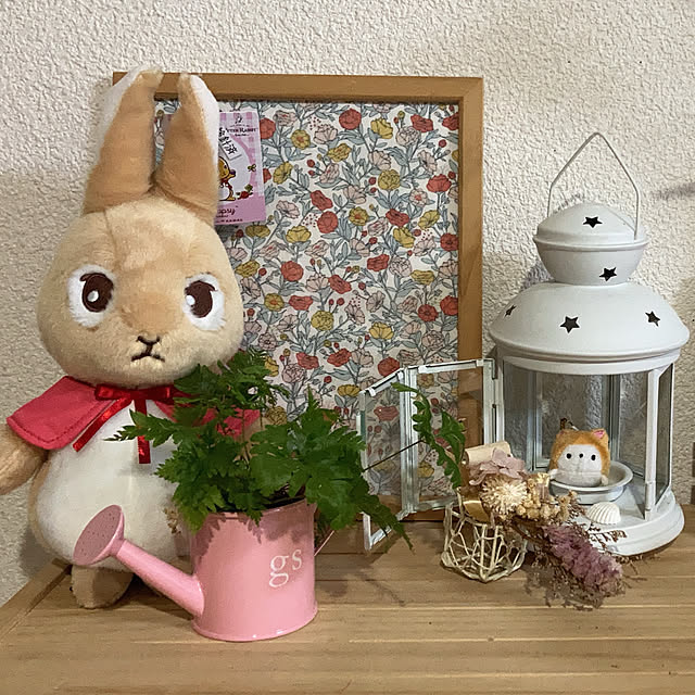 momoさんの実例写真
