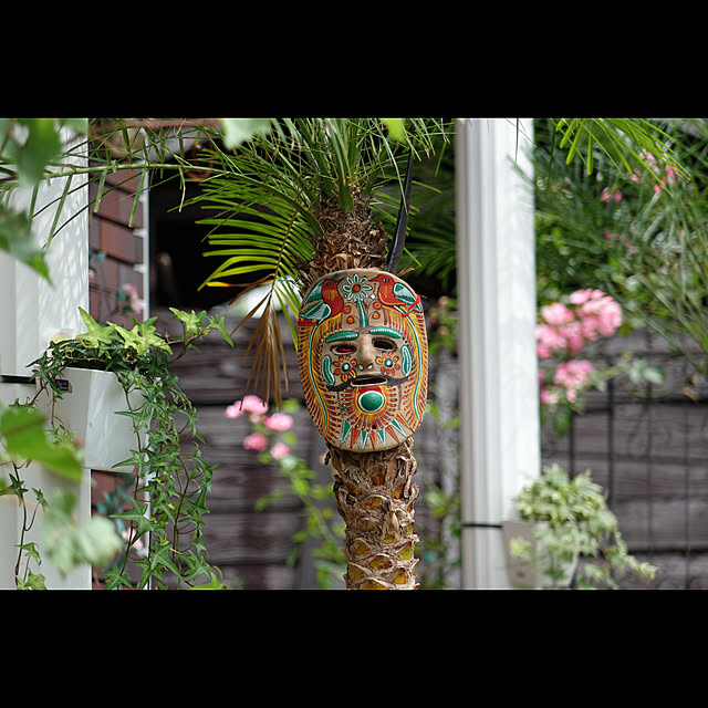 sixflagsさんの実例写真