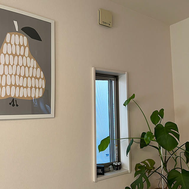 Momooさんの実例写真