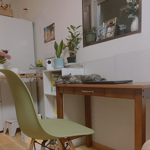 観葉植物/ダイソー/100均/北欧/ニトリ...などのインテリア実例 - 2020-09-23 15:29:07