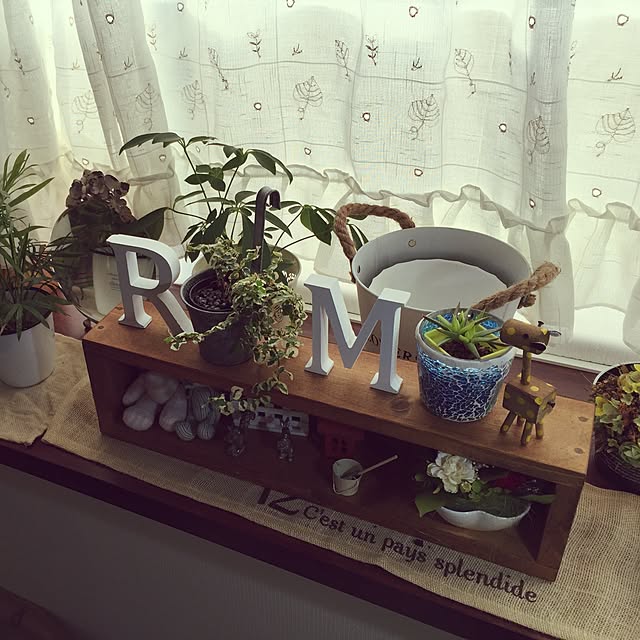 greenjasmineさんの実例写真
