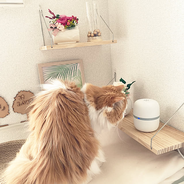 H.Tさんの実例写真