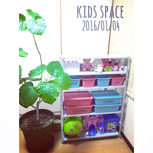 棚/無印良品スチールラック/無印良品/おもちゃ収納/観葉植物