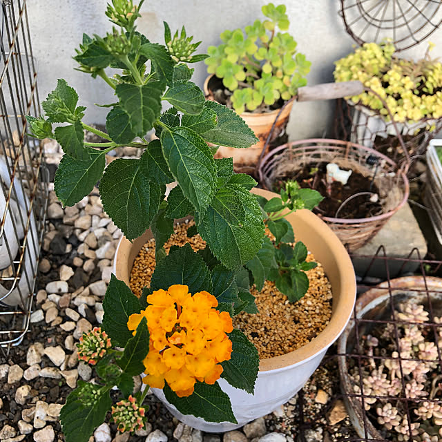 yukkoさんの部屋