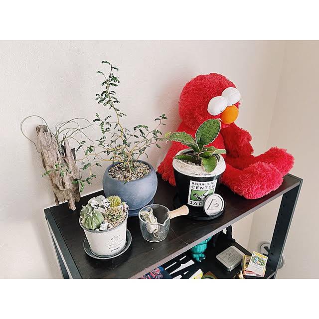 w_end_0625さんの実例写真