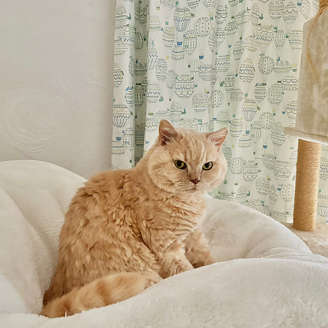 naokoさんの部屋