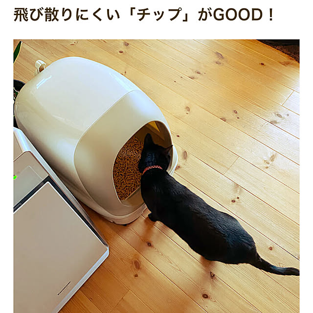 momokumiさんの実例写真