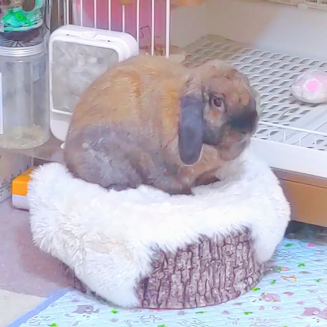 mariaさんの実例写真