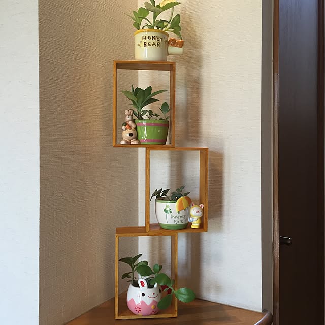masamasaさんの実例写真