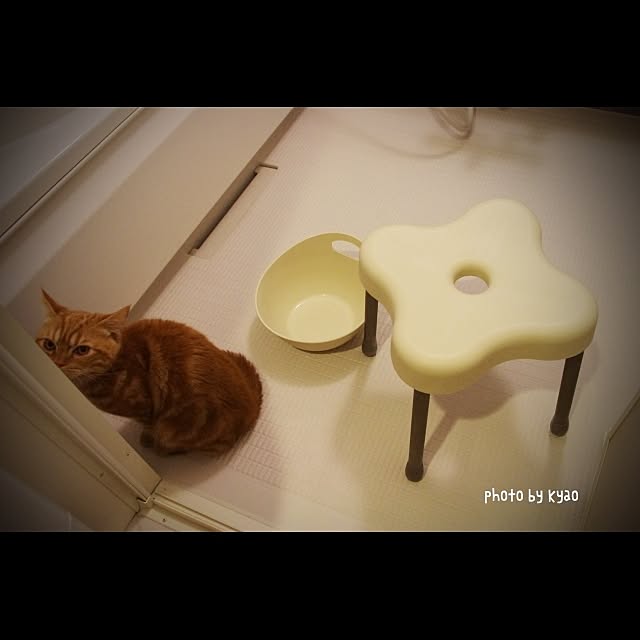 kyaoさんの実例写真