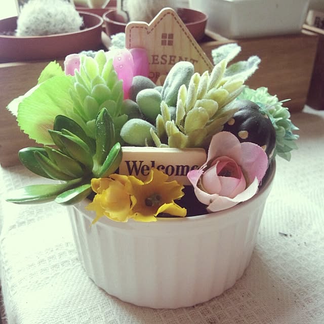 棚/多肉植物のインテリア実例 - 2014-06-03 16:04:23