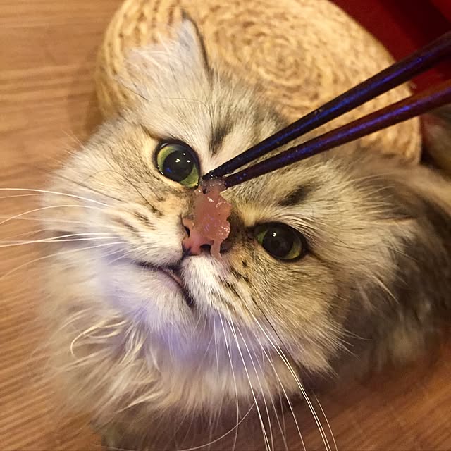 butachanさんの実例写真
