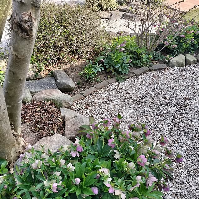 feuileさんの部屋