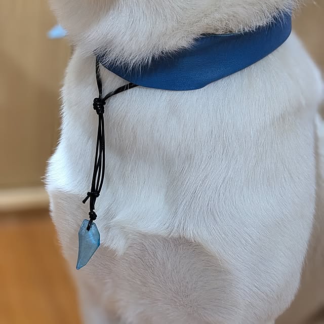 asaさんの実例写真