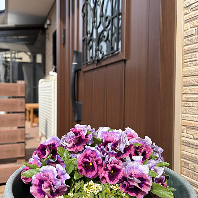 ronronさんの部屋