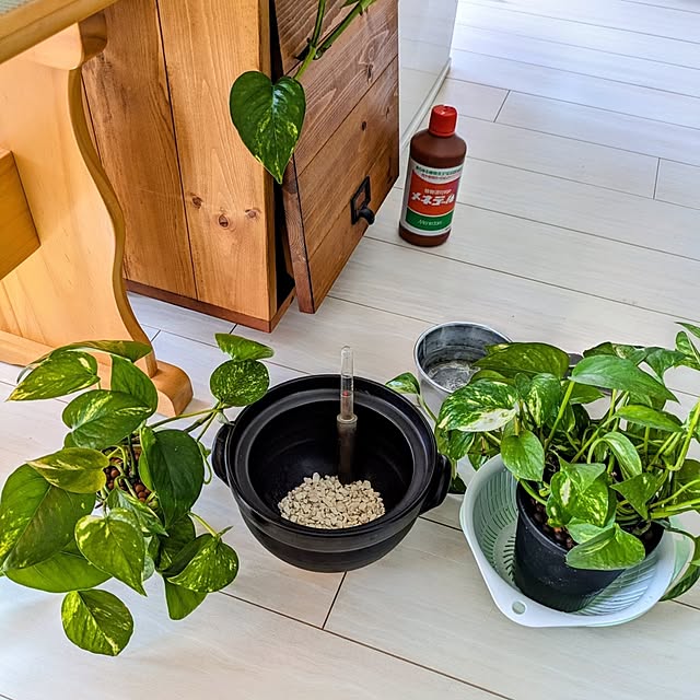 mi-saさんの部屋