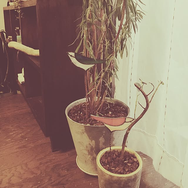 juno6910さんの実例写真