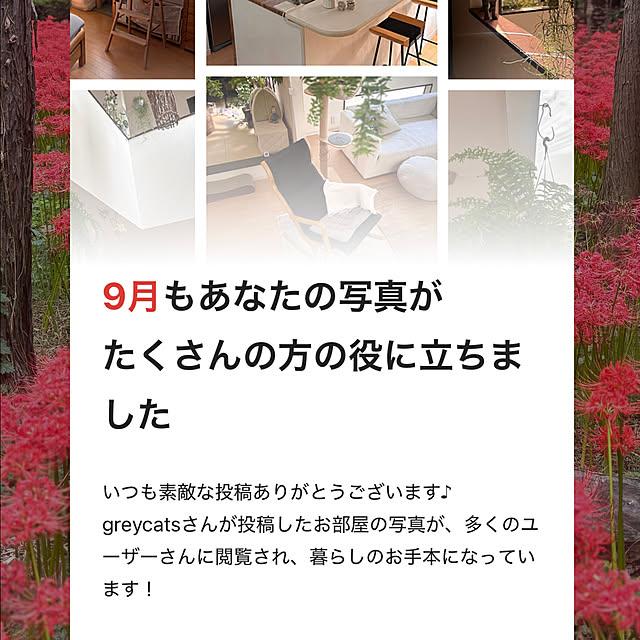 greycatsさんの実例写真