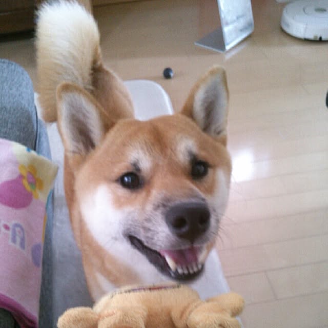 kotaさんの実例写真