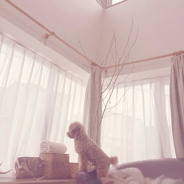 maki69koさんの実例写真