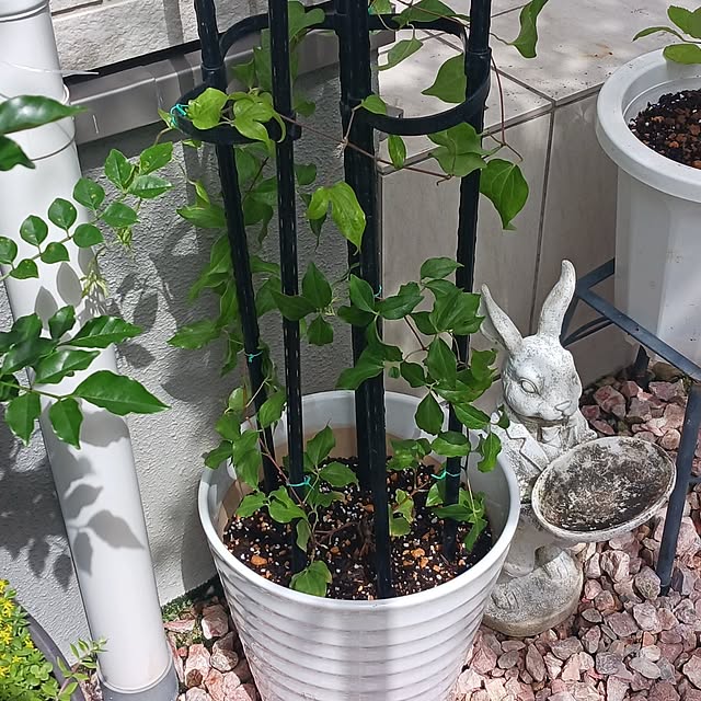 aiさんの部屋