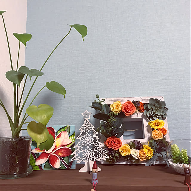 棚/100均/観葉植物/セリアのインテリア実例 - 2018-12-02 08:17:56