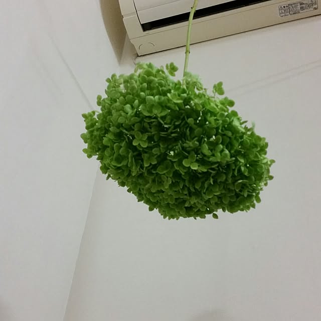 mmmさんの実例写真