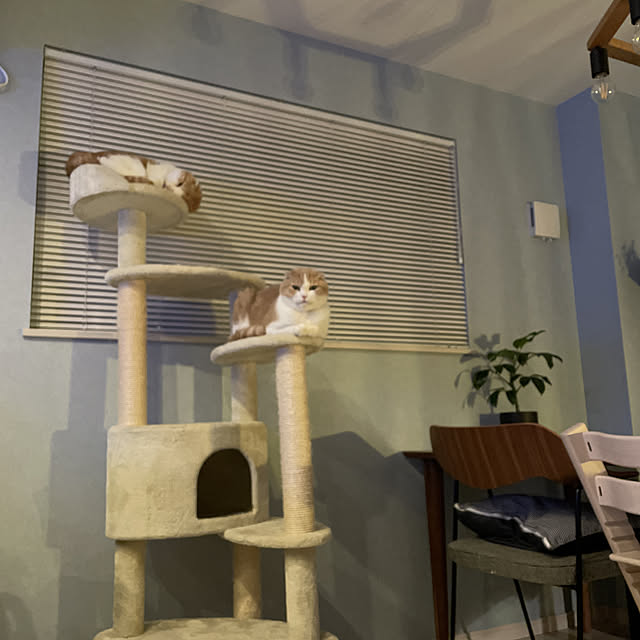 hiroko.mさんの実例写真