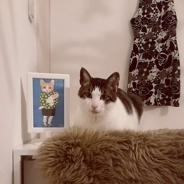 runayucoさんの実例写真