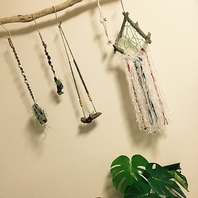 coa606さんの実例写真