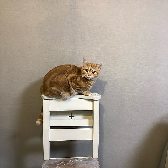 Atelier.mさんの実例写真
