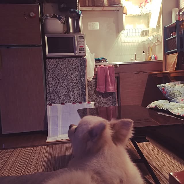 sacchiさんの実例写真