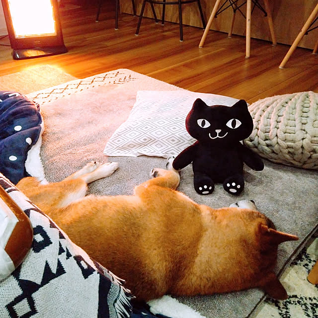 Soraさんの実例写真
