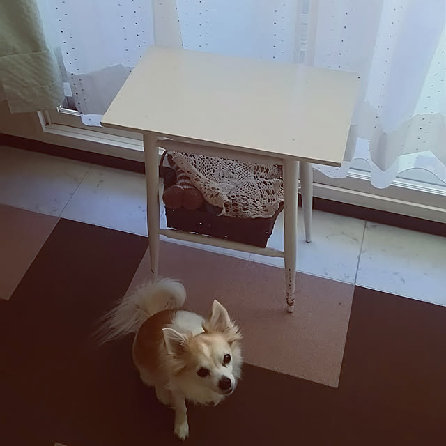 nonさんの実例写真