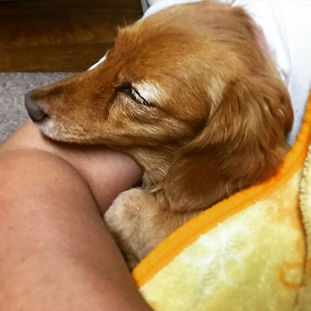sakuさんの実例写真