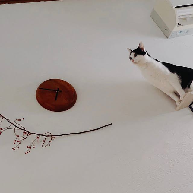 harukaさんの実例写真