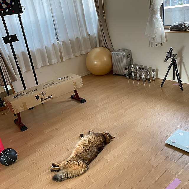 meさんの実例写真
