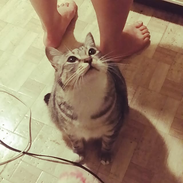 annさんの実例写真