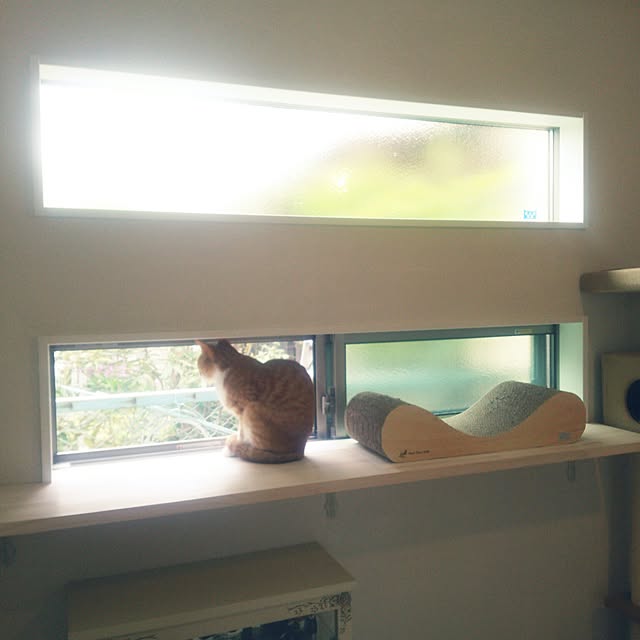 ramoraさんの実例写真