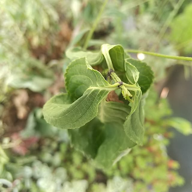 Rさんの部屋
