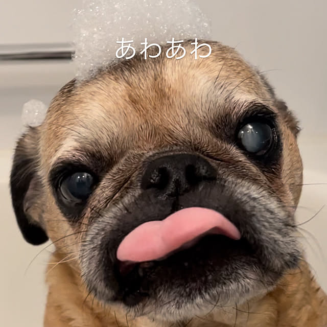 SIELUさんの部屋